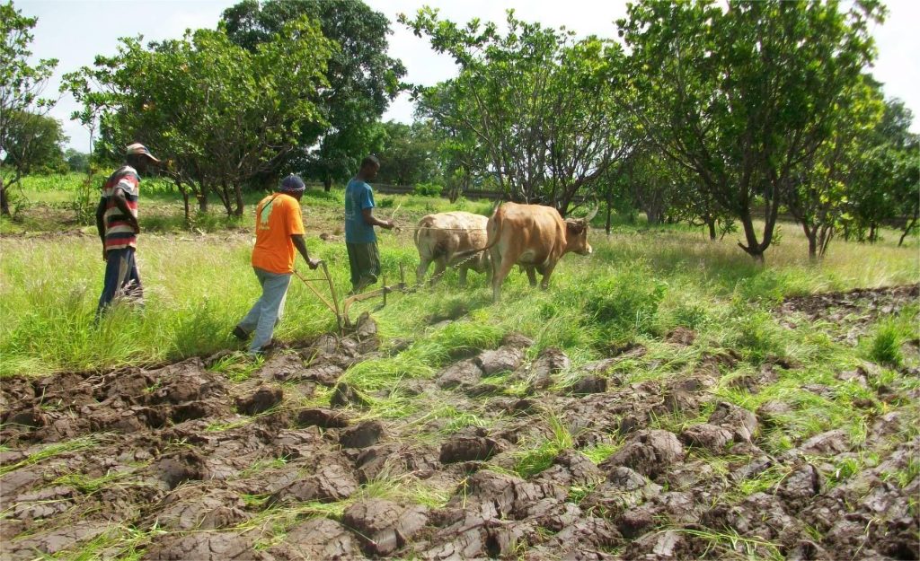coasp-agro-écologie